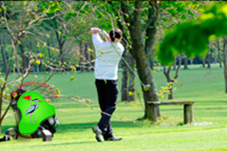 Golf Club Information Golf Club Information